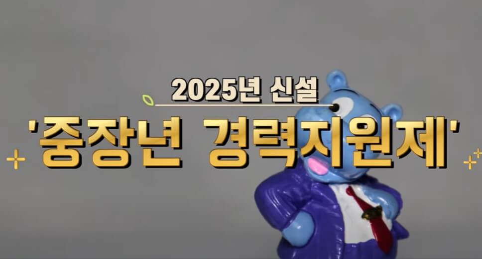2025년 신설 중장년 경력지원제