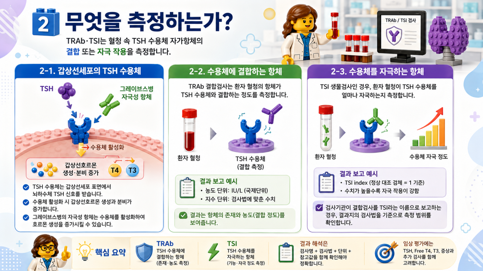 TRAb와 TSI가 TSH 수용체 자가항체의 결합과 자극 작용을 어떻게 측정하는지 설명하는 레고 스타일 메디컬 인포그래픽