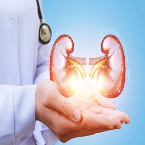 신장이 안좋으면 나타나는 증상