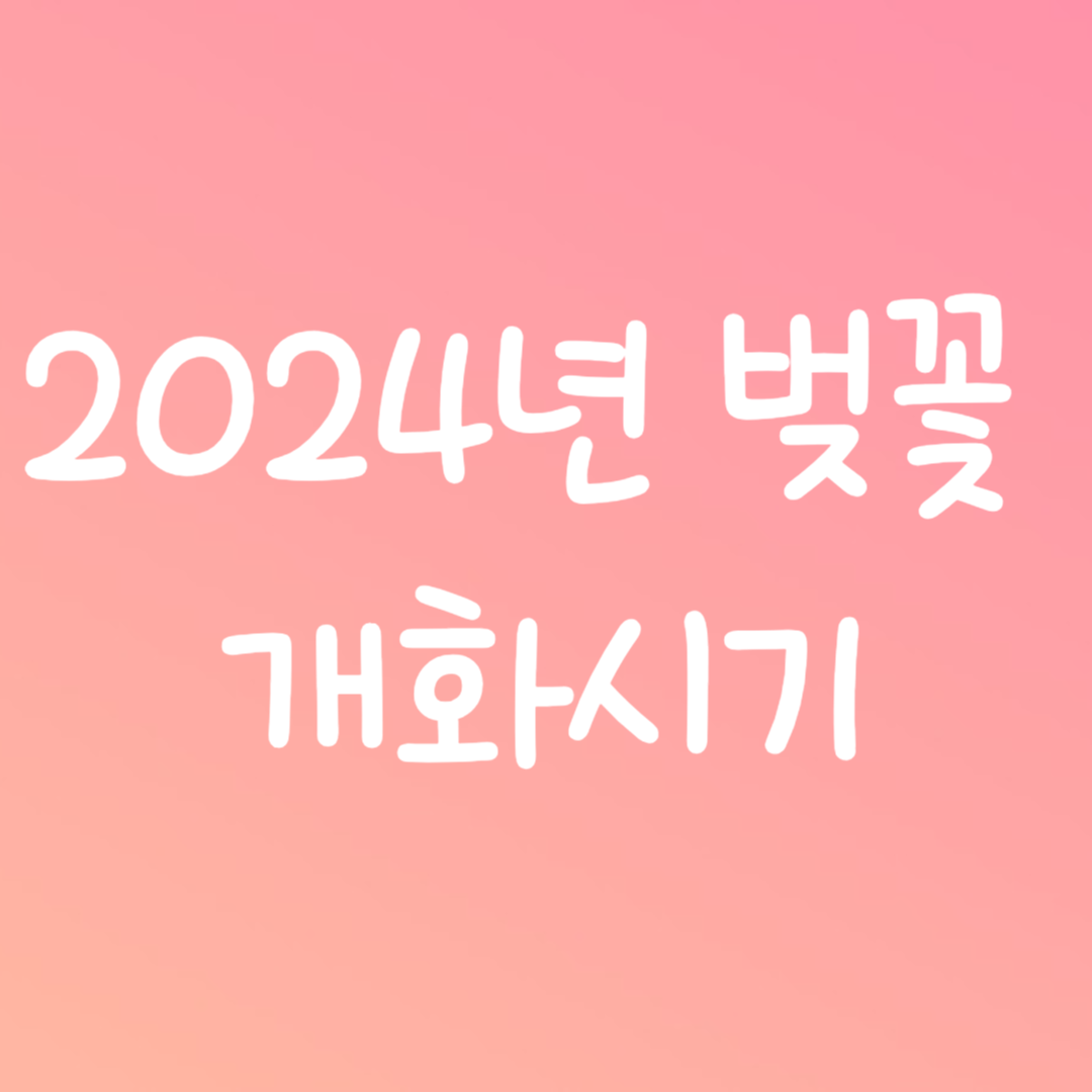 벚꽃 개화시기 이미지