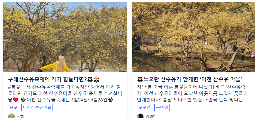 제 25회 이천 백사 산수유 꽃 축제 추천 여행지