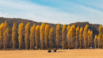 아이와 함께하는 맞춤 여행지 추천 3곳 – 국내편