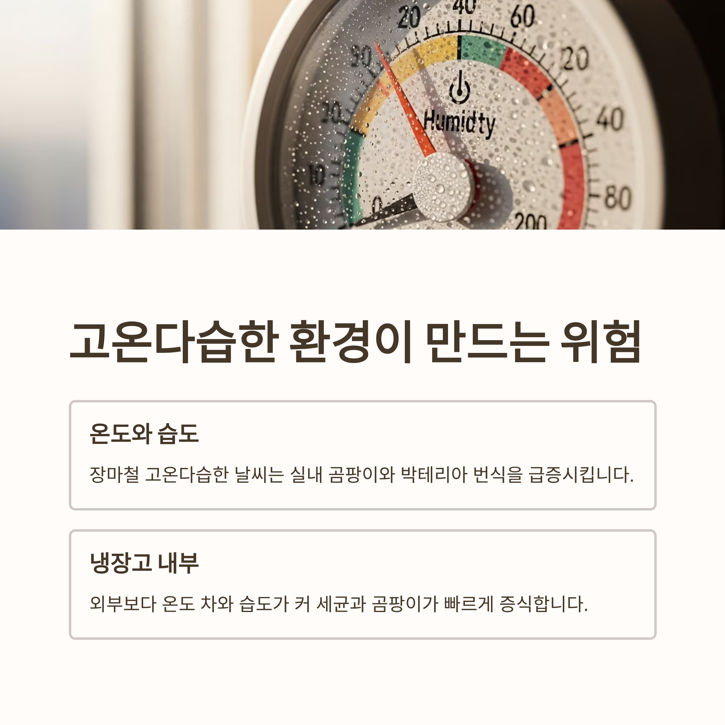 고온다습한 환경이 만드는 위험