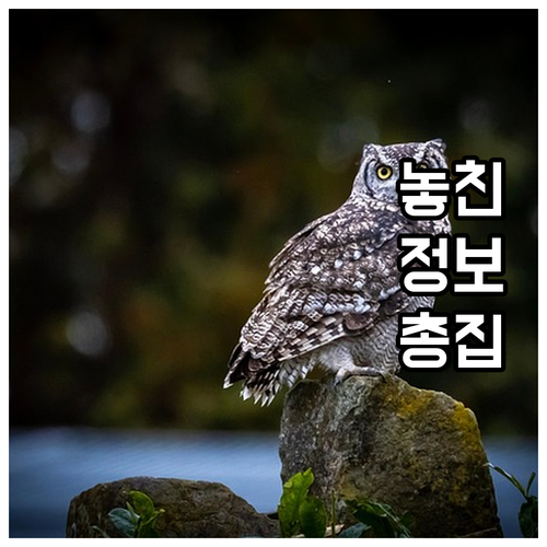 주말에도 OK! 토요일 자동차 검사:..