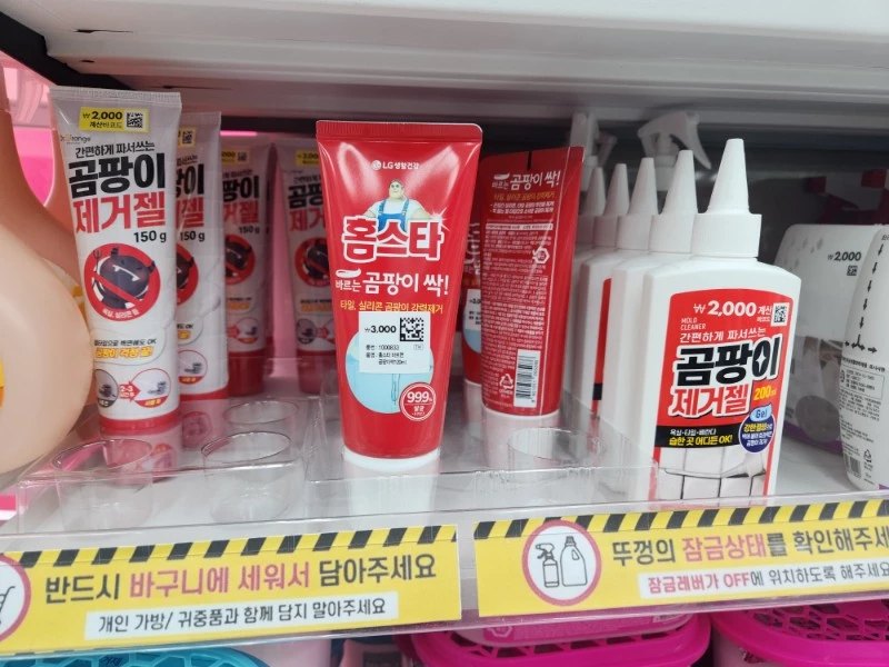 벽지 곰팡이 제거 후기