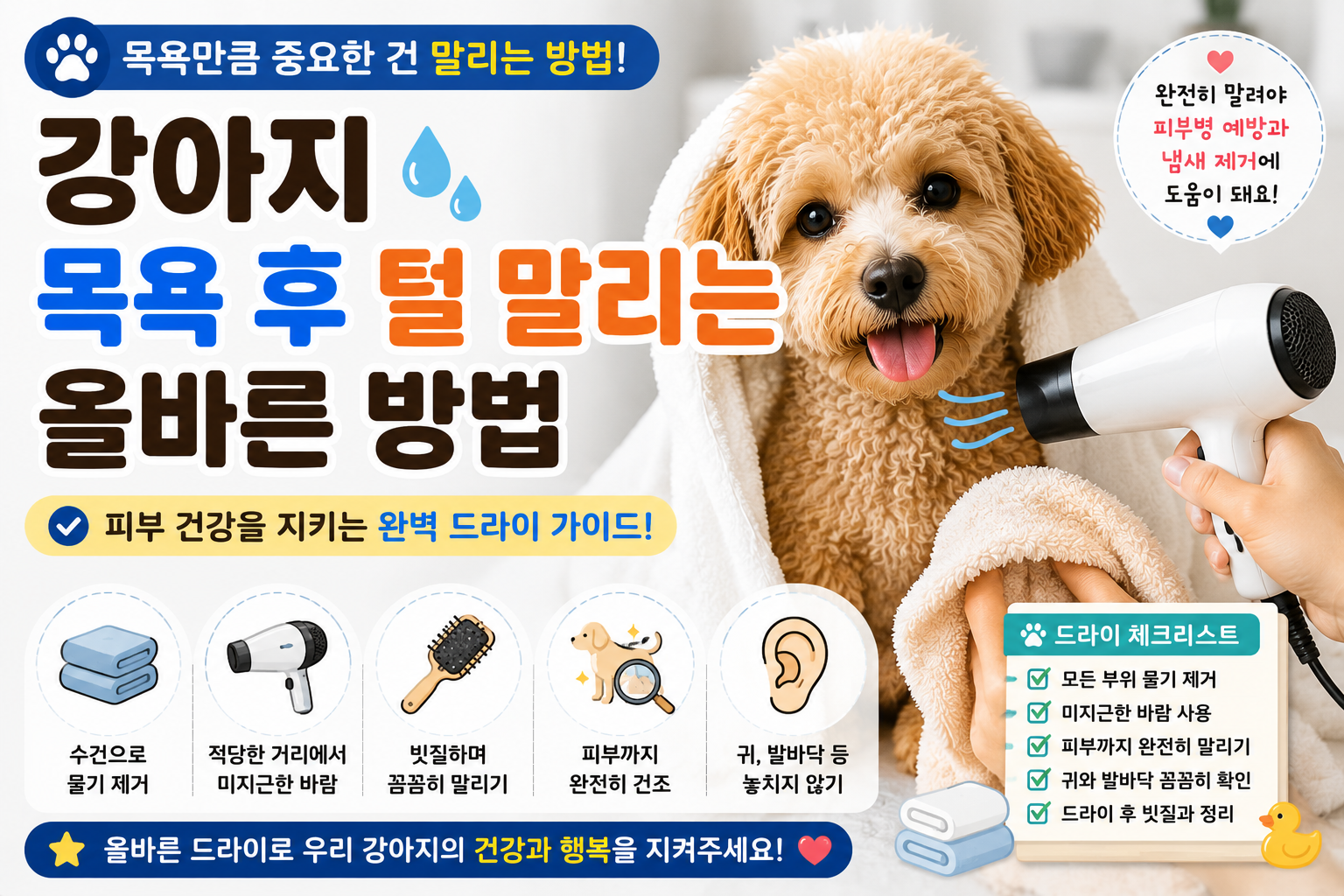 강아지 목욕 후 털 말리는 올바른 방법|피부병을 예방하는 드라이 노하우