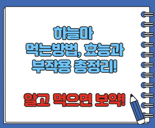 하늘마 효능 부작용 하늘마 먹는 방법 총정리