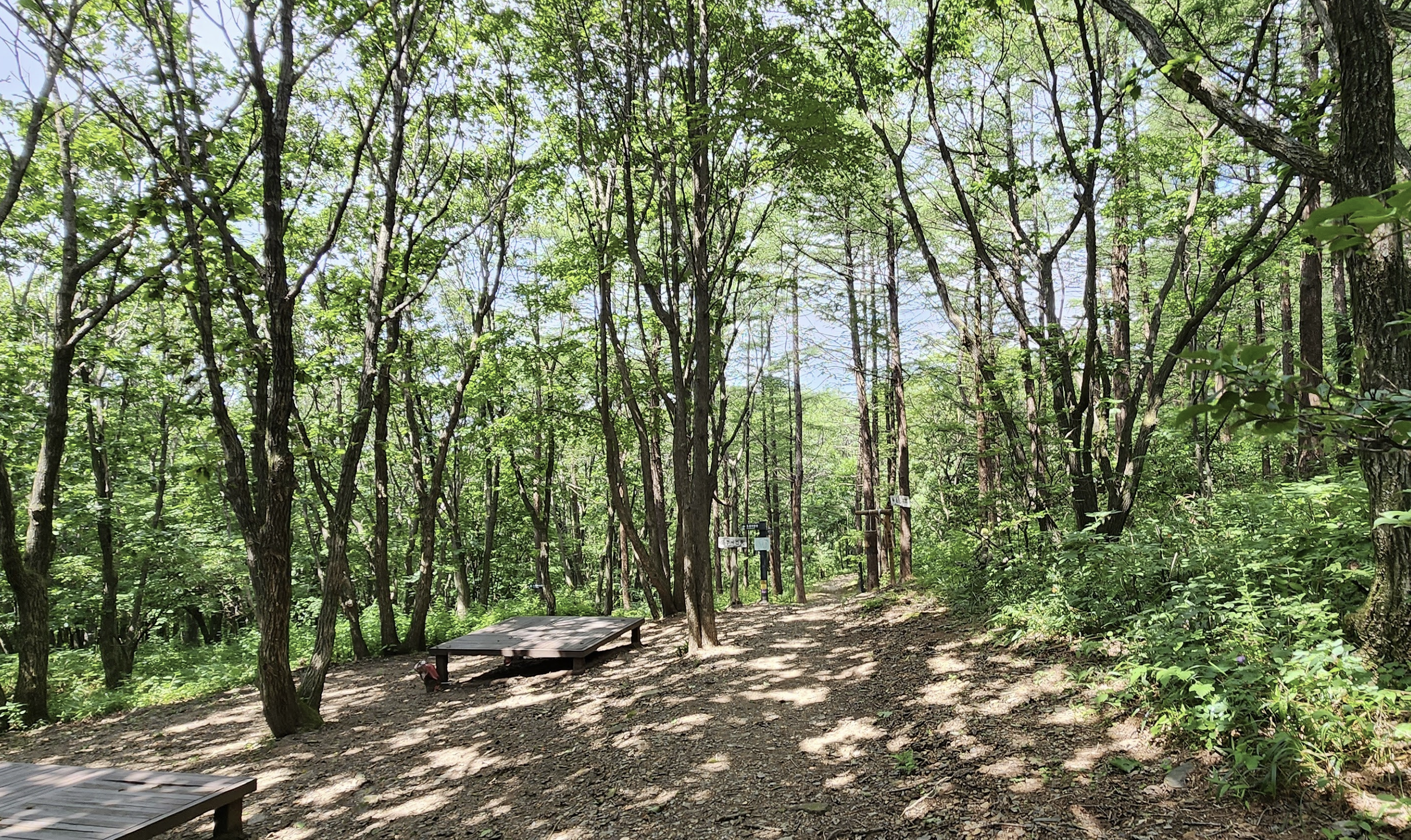 쉼터가 있는 숲속길