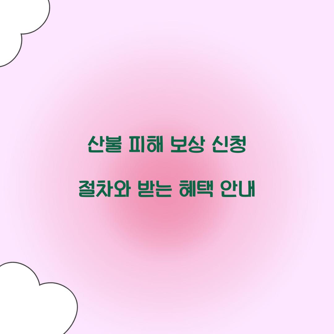 산불 피해 보상 신청