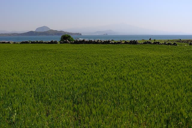 산림보호법에 따른 임야 관리 의무와 벌칙