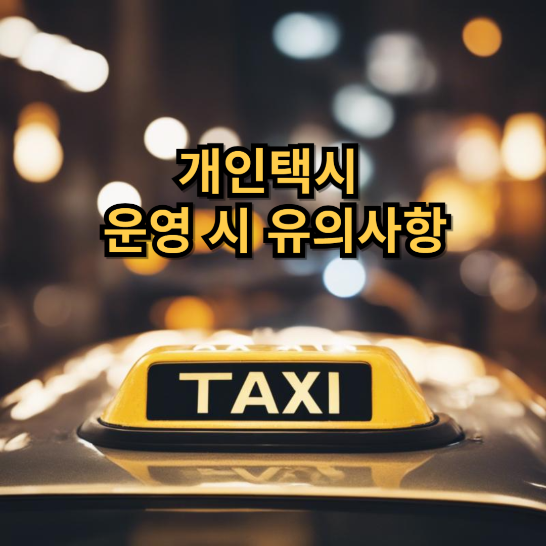 개인택시 운영 시 유의사항
