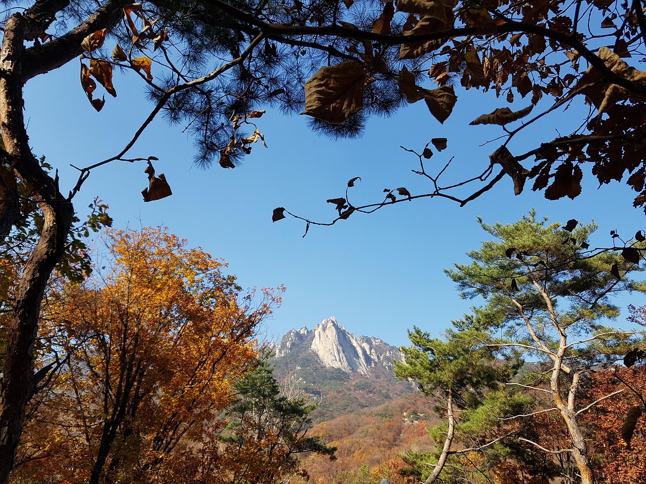 서울 둘레길 21코스 지도