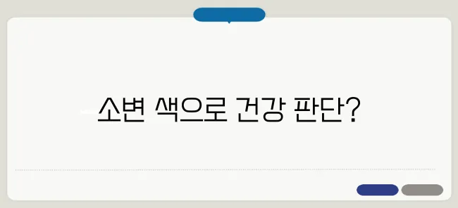 소변 색깔로 알아보는 건강 이상 신호 구별 방법을 제시합니다.