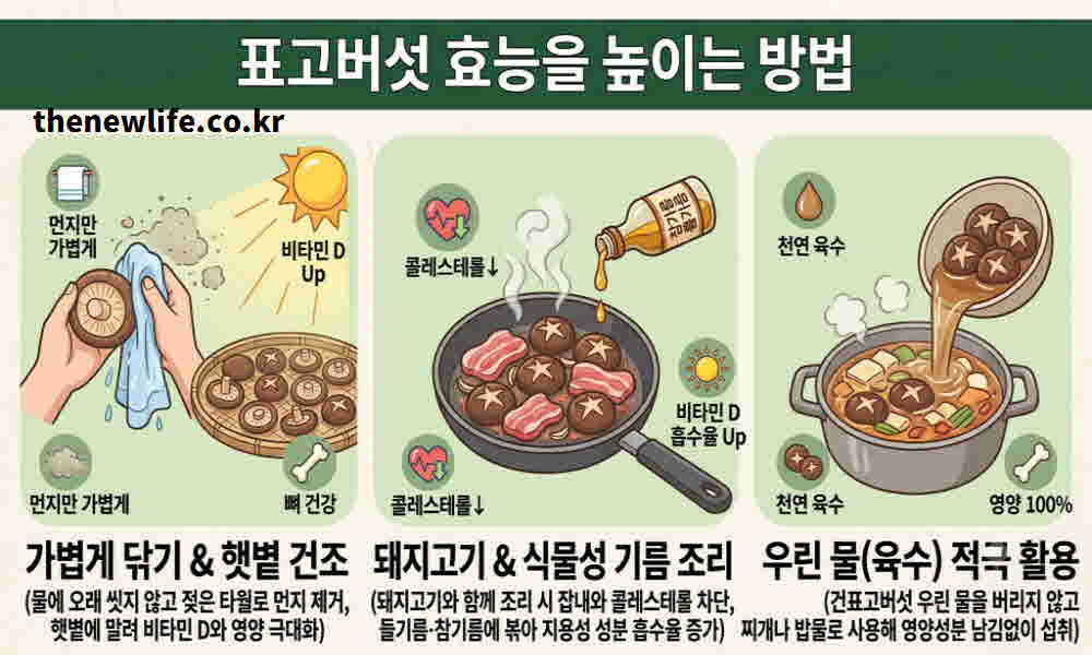 표고버섯 효능 먹는 방법