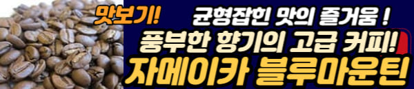 자메이카 블루 마운틴