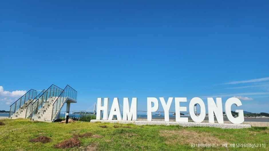 함평 가볼만한곳 베스트10