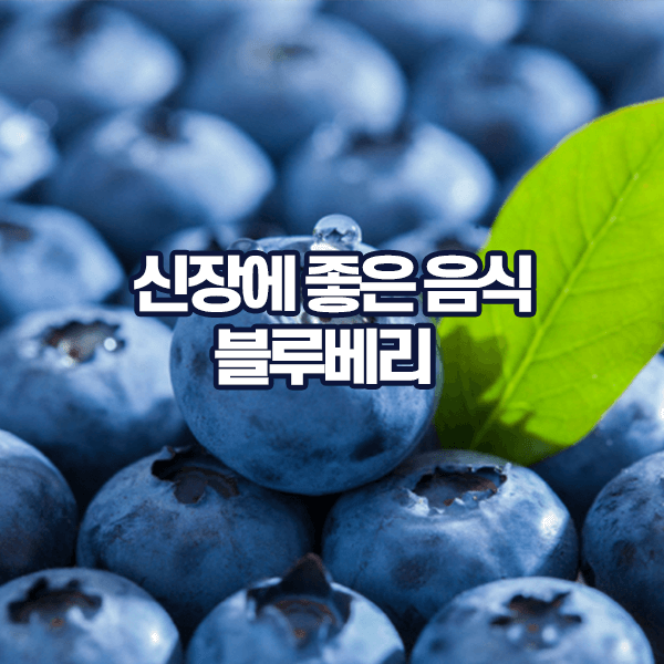 신장에 좋은 음식 블루베리