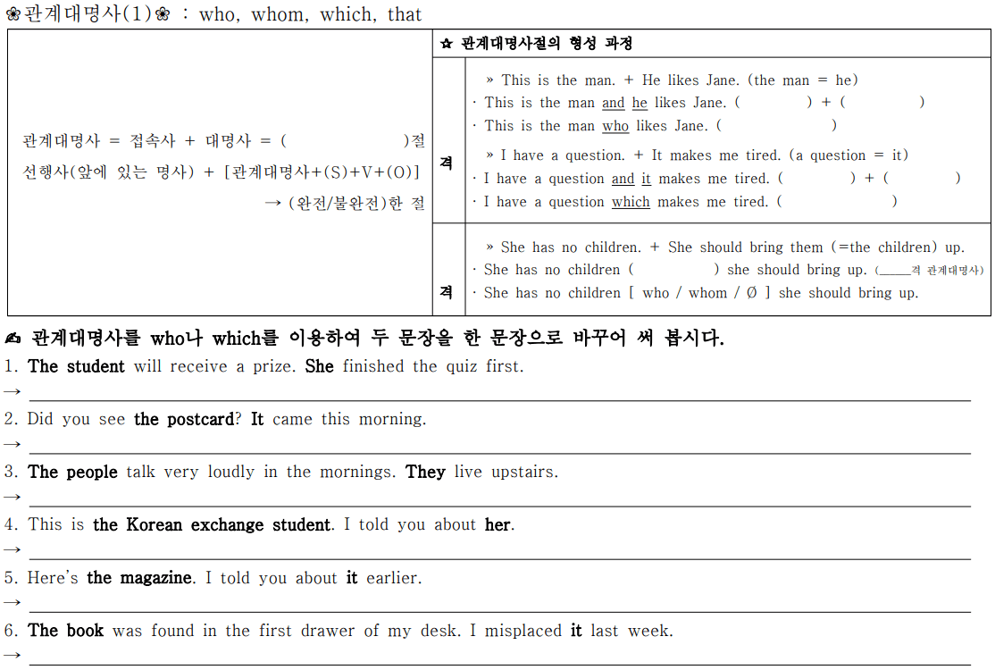 수능 영문법 기초 관계대명사의 형성과정