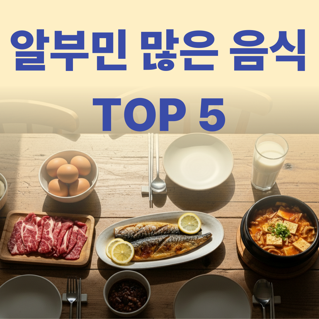 알부민 많은 음식 TOP 5