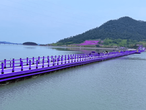 신안_퍼플섬_가는길