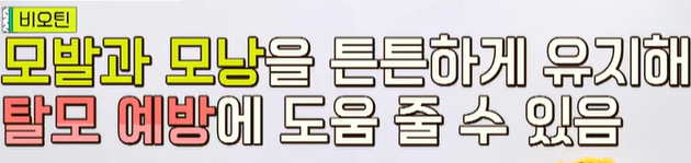 비오틴 효능