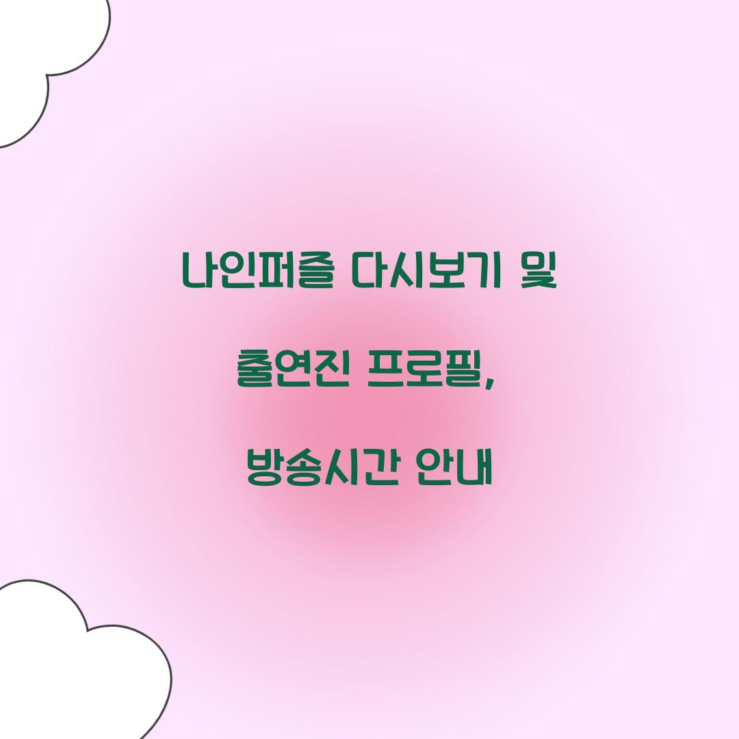 나인퍼즐 다시보기