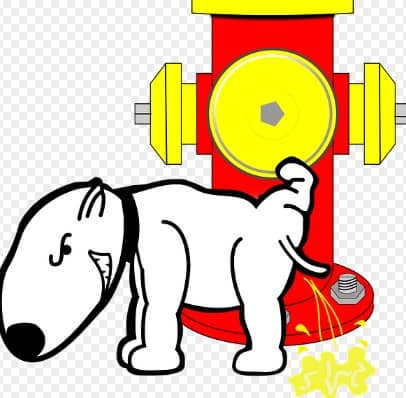 방귀를 이용해 하늘을 날 수 있을까? 과학적 실험 결과