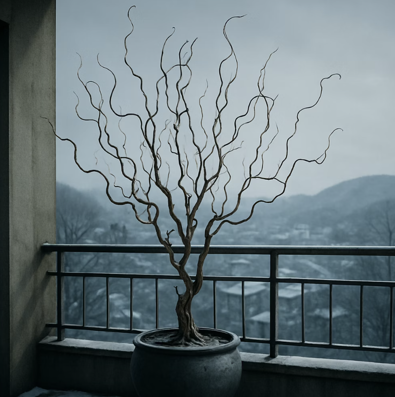 겨울나기, 잠자는 숲속의 공주