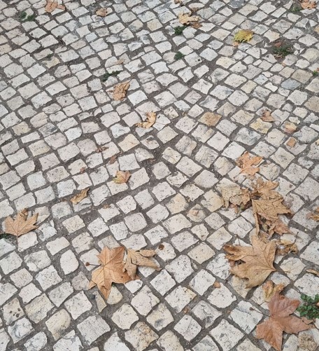 [포르투갈 여행] 시월의 리스본
