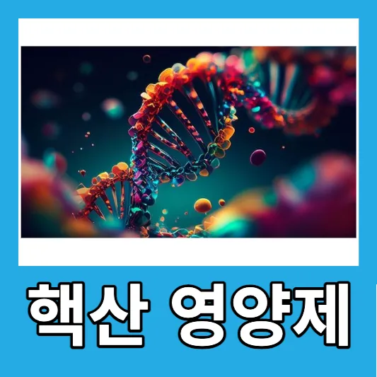 핵산 영양제 추천 핵산 효능 핵산 풍부한 음식