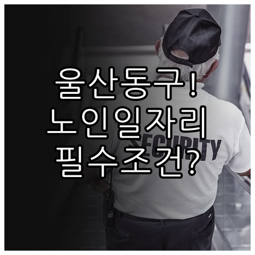 울산 동구 시니어클럽 노인일자리 유형..