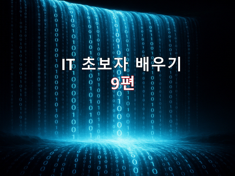 와이파이와 모바일 네트워크의 차이