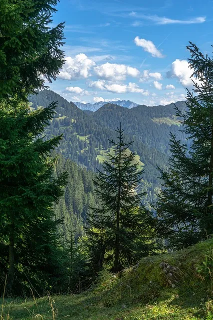 들렀다 들렸다 헷갈리는 맞춤법 올바른 사용 표기 완벽 정리_2
