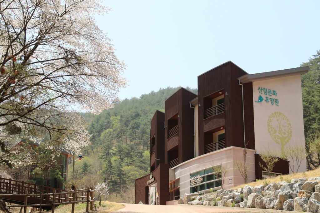 영양에코둥지 자연휴양림 온라인 예약하기 ❘ 숙소 야영장 캠핑장 실시간 예약 현황 보기 ❘ 경북 영양군