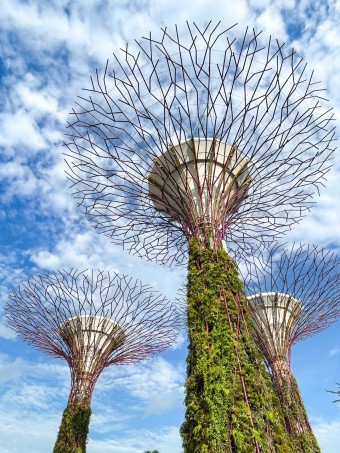 따뜻한 휴양지 추천 베스트 5 싱가2