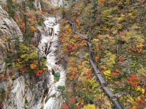 출처 구글이미지 설악산 단풍