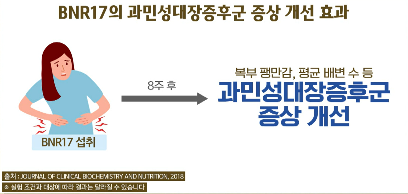 BNR17유산균 효능