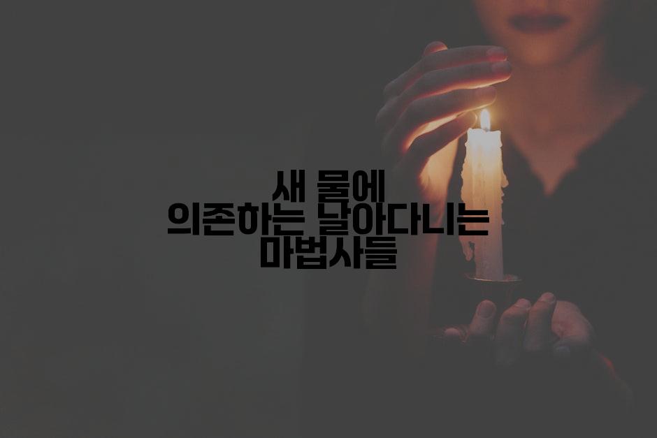 새 물에 의존하는 날아다니는 마법사들