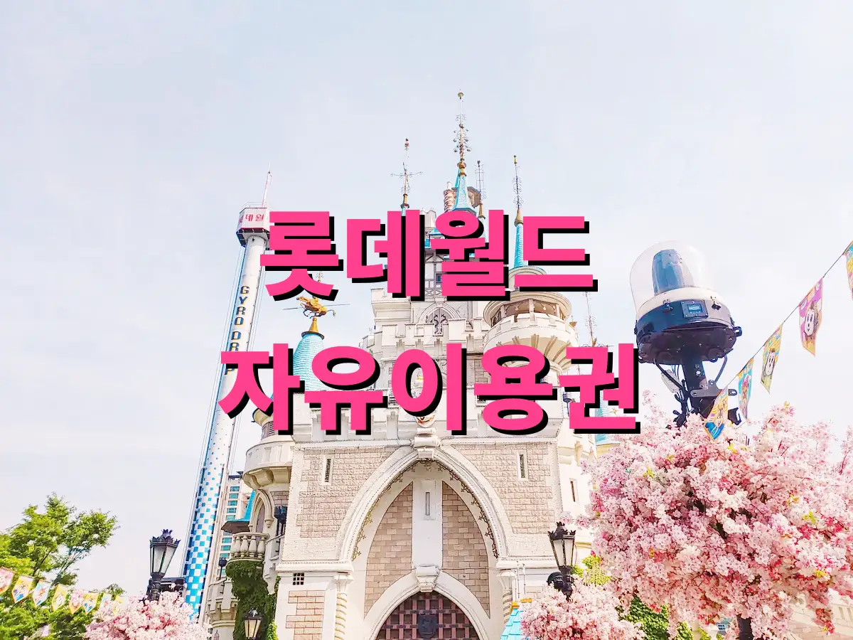 롯데월드 자유이용권