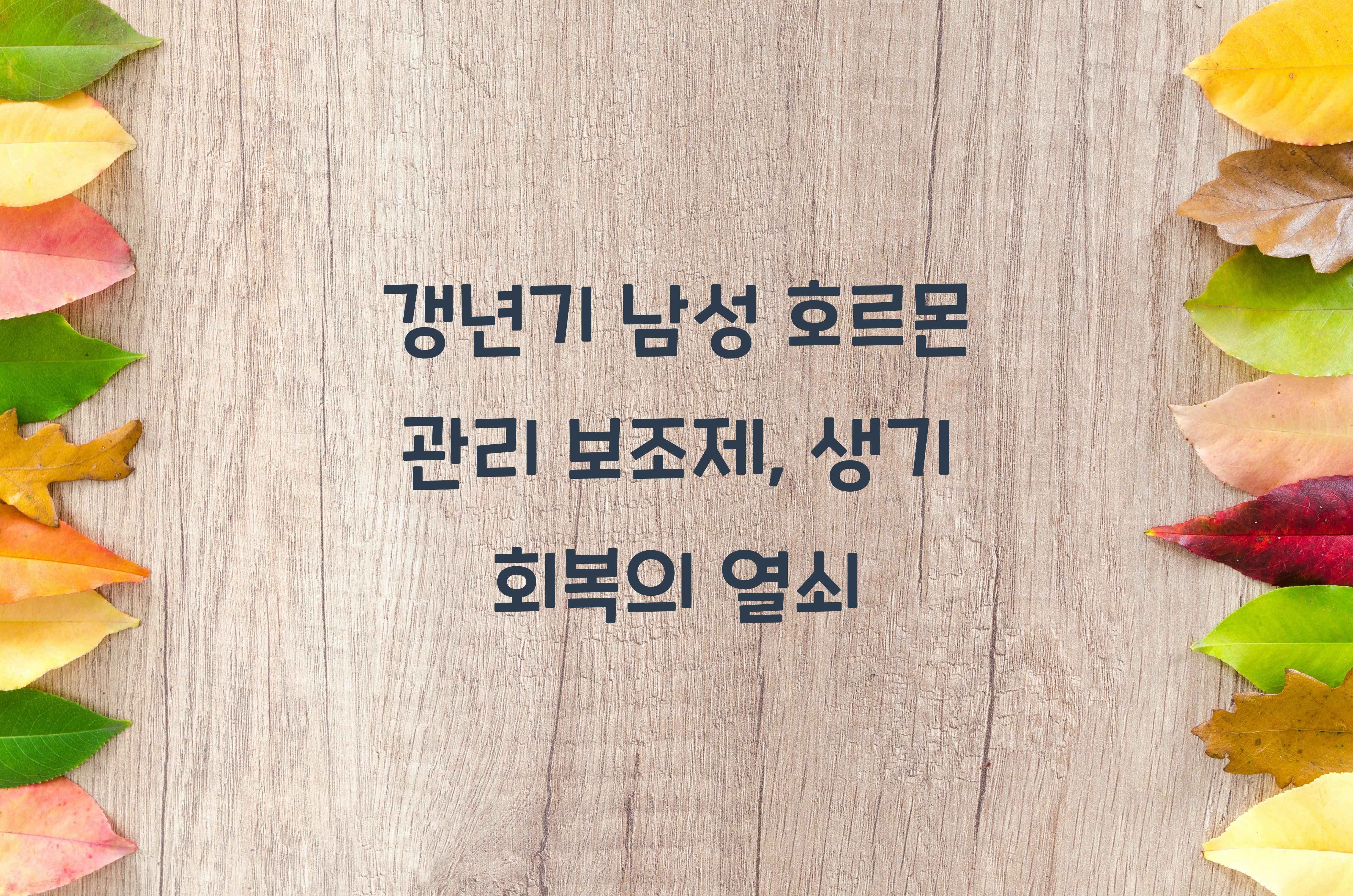 갱년기 남성 호르몬 관리 보조제
