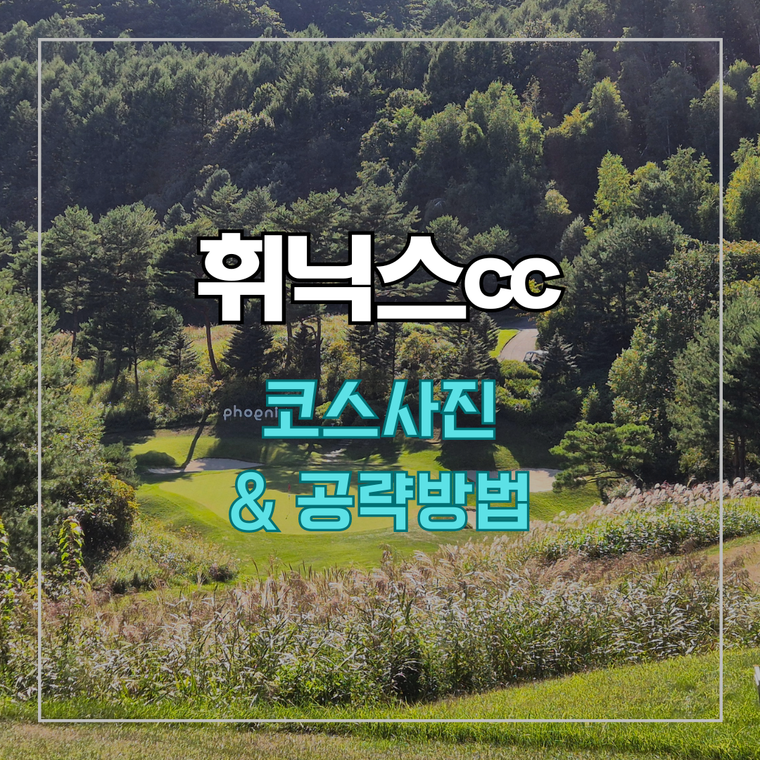 휘닉스cc