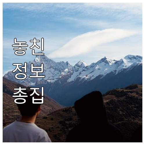 내 차 환경검사 왜 떨어졌을까? 배출..