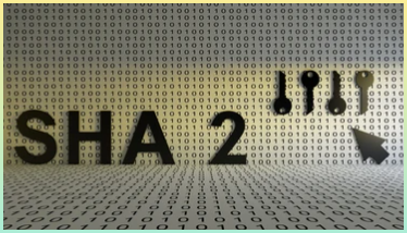 해시함수의 대표인 SHA-2에 대한 문자 이미지와 디지털 세계