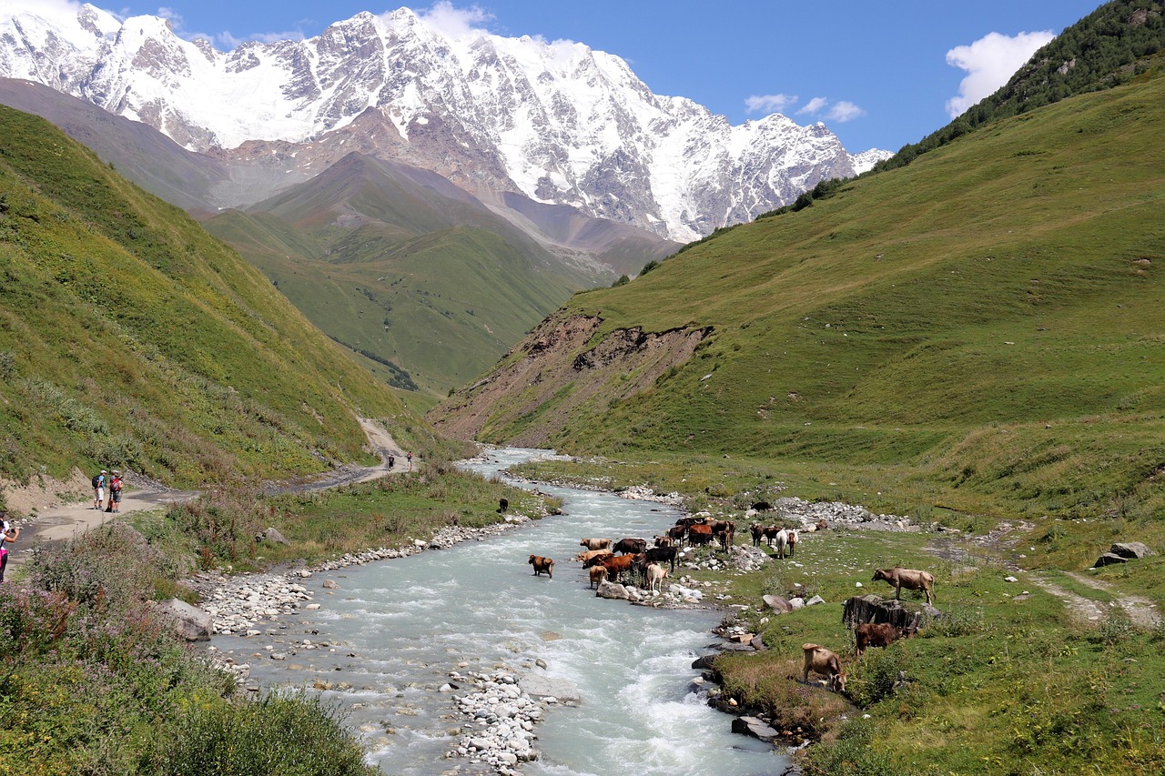 조지아