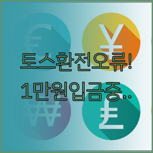 토스 엔화 환전 시스템 설정 오류 보..