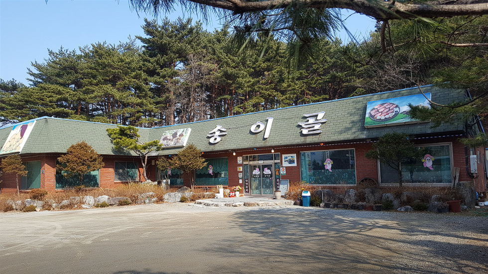 양양 가볼만한 곳