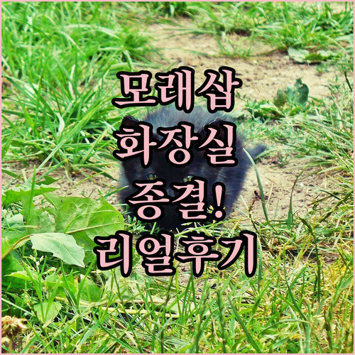 고양이 모래삽 화장실 종류별 특징 비..