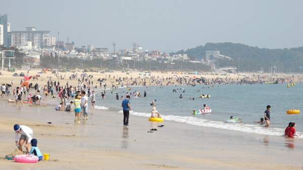 해수욕장에 관한 그림