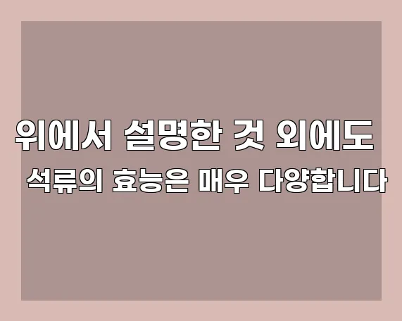 위에서 설명한 것 외에도 석류의 효능은 매우 다양합니다