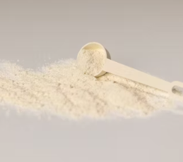 단백질 많은 음식 식물성 동물성